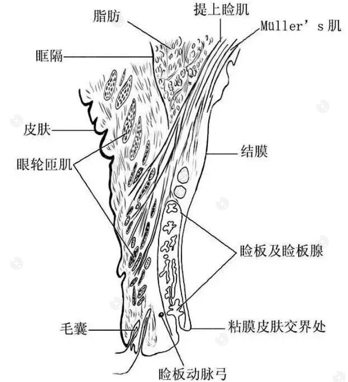 安排广东雷诺眼科连锁眼科项目价格表 医生技术靠谱,手术价格也不贵