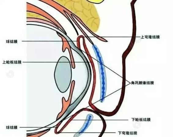 福州三焦点晶体口碑好又便宜的医院 台江黑马、亮睛和亮睛都是口碑公认