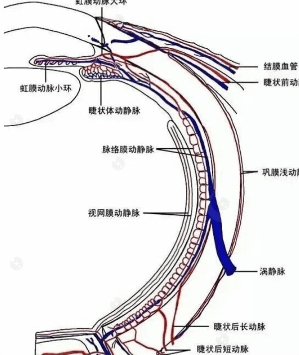 杭州准分子激光手术哪家医院比较好？上榜的这几家眼科谁更胜一筹