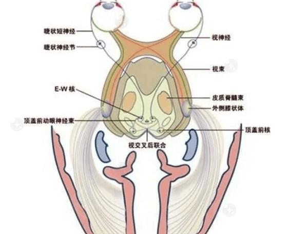 公开太原视康眼科门诊部眼科项目价格表 用简介及评价来说是正规的眼科机构收费不贵 