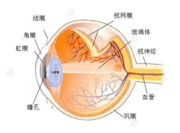 山东青岛福柏眼科医院口碑好吗 据说实力强且技术赞可入手