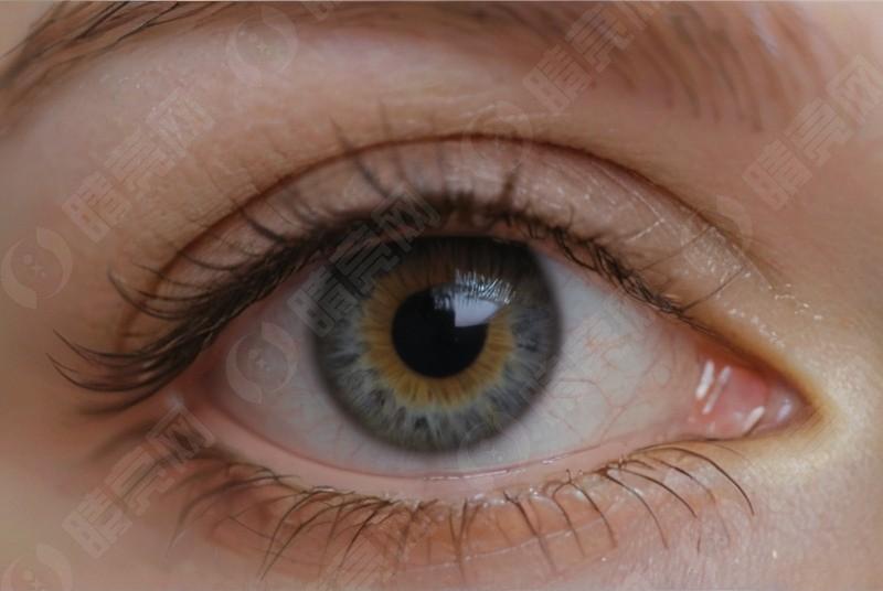 想知道广州眼科医院排名？这几家口碑好、技术强的医院值得关注！